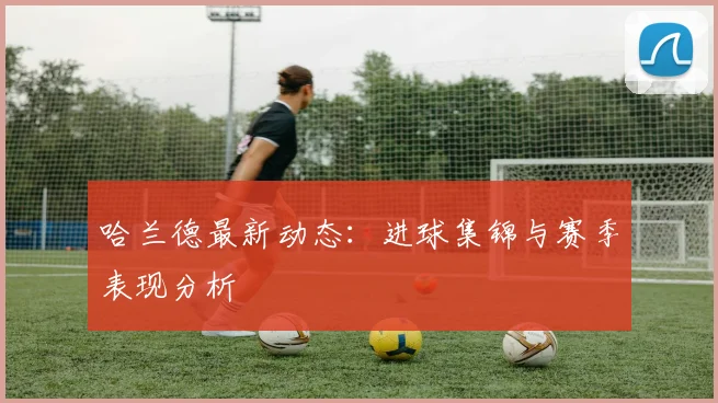 哈兰德最新动态：进球集锦与赛季表现分析
