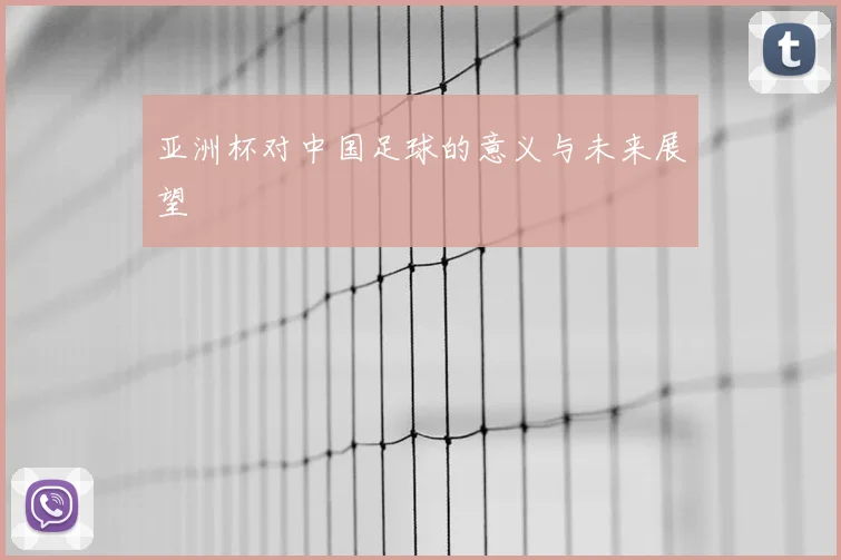 亚洲杯对中国足球的意义与未来展望